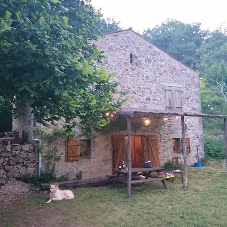 Maison De Vignes De Tournemire Tournemire  Dış mekan fotoğraf