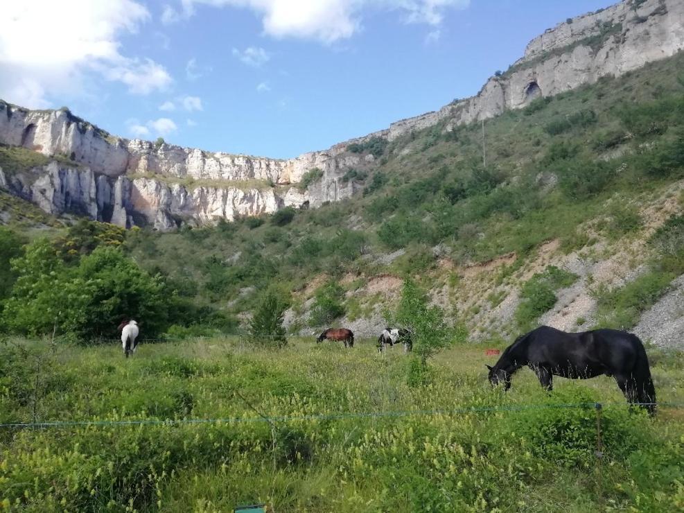 Maison De Vignes De Tournemire Tournemire  Dış mekan fotoğraf