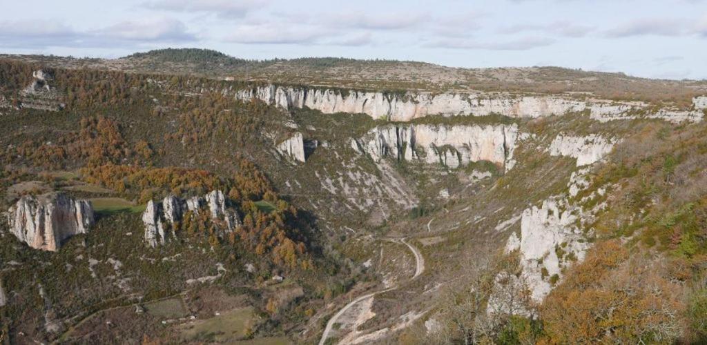 Maison De Vignes De Tournemire Tournemire  Dış mekan fotoğraf