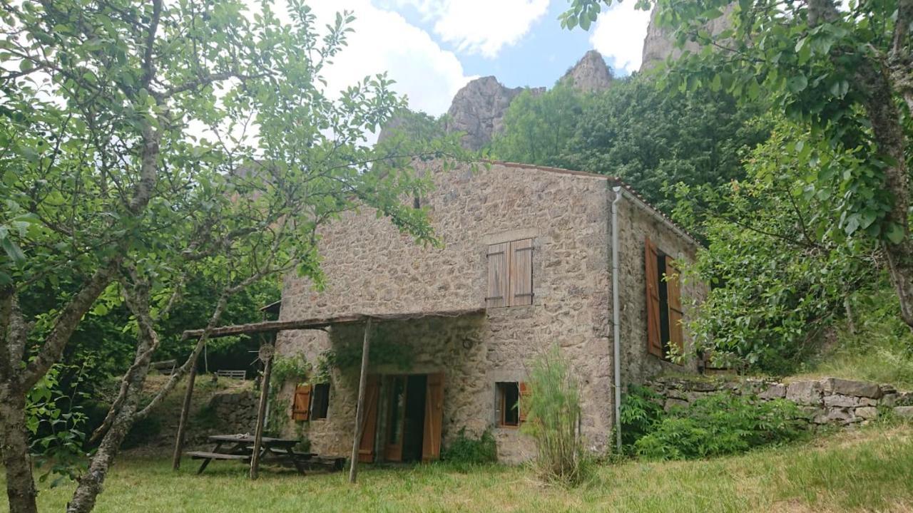 Maison De Vignes De Tournemire Tournemire  Dış mekan fotoğraf
