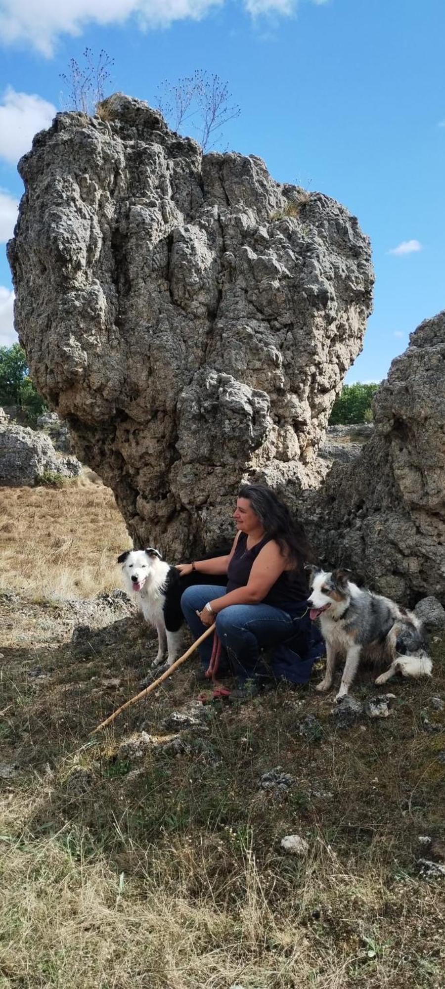 Maison De Vignes De Tournemire Tournemire  Dış mekan fotoğraf